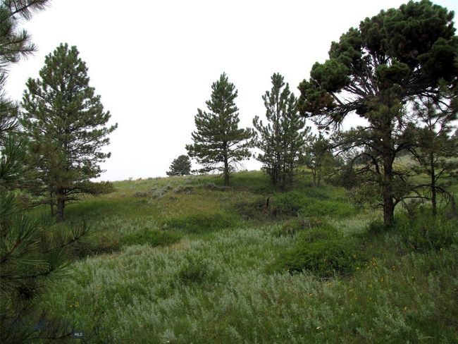 SC-25 - TBD Lone Rock Canyon Lane, Home with 0 bedrooms, 0 bathrooms and null parking in Hysham MT | Image 10