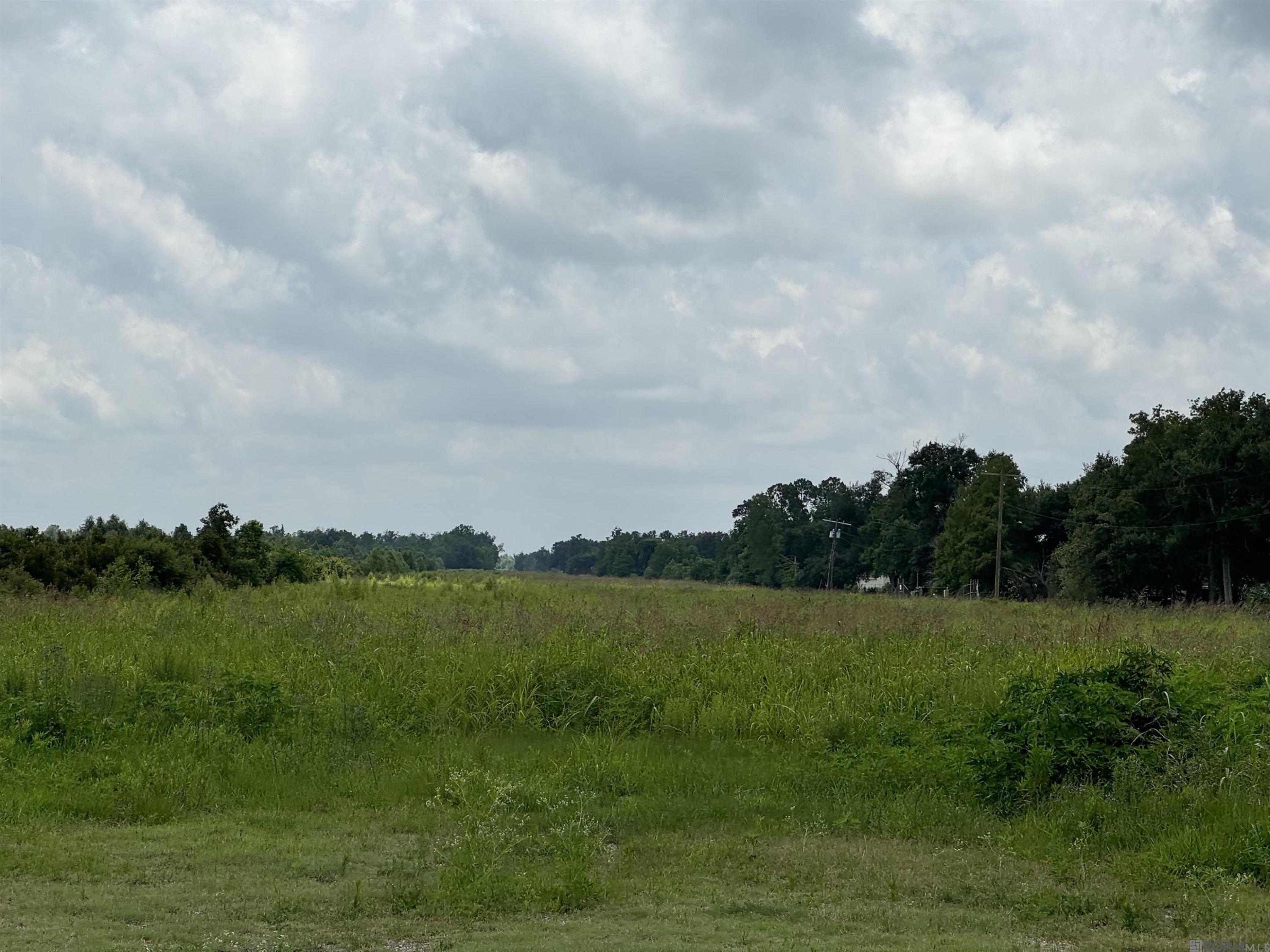 Land in Raceland