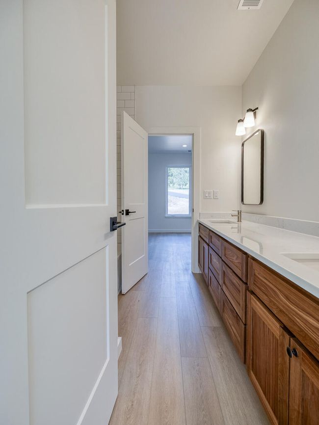 1168 Paper Birch-30 | Image 31