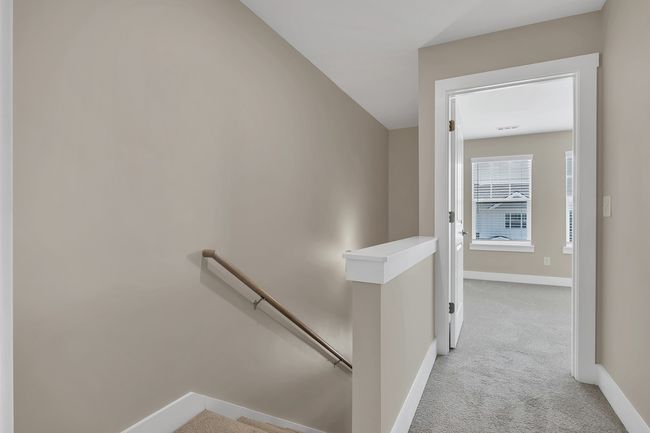 Newly cleaned carpets + fresh paint | Image 16