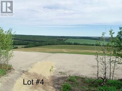 Lot 4 206 Rd, Home with 0 bedrooms, 0 bathrooms and null parking in Peace River Regional District BC | Image 1