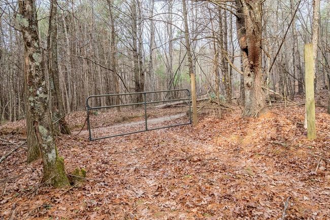 000 Miriam Road, Home with 0 bedrooms, 0 bathrooms and null parking in Dugspur VA | Image 20