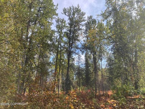 NHN Chase Rd, Talkeetna, AK, 99676 | Card Image