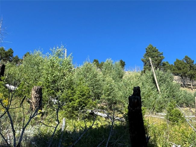 31 High Ore Rd, Home with 0 bedrooms, 0 bathrooms and null parking in Boulder MT | Image 7