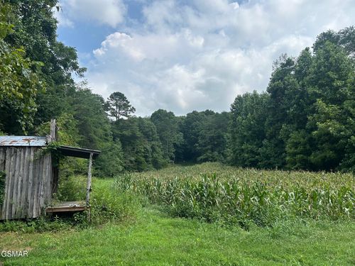Tract 17 Pleasant View Cemetery Rd, New Market, TN, 37820 | Card Image