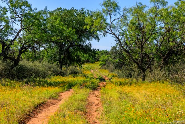 0000 Langes Mill Rd, Home with 0 bedrooms, 0 bathrooms and null parking in Doss TX | Image 28