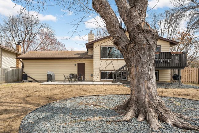 backyard | Image 25