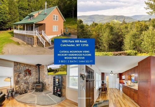 1090 Park Hill Rd, Downsville, NY, 13755-3628 | Card Image