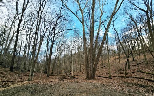 1767 Mohican Court, Hide A Way Hills, OH, 43107 | Card Image