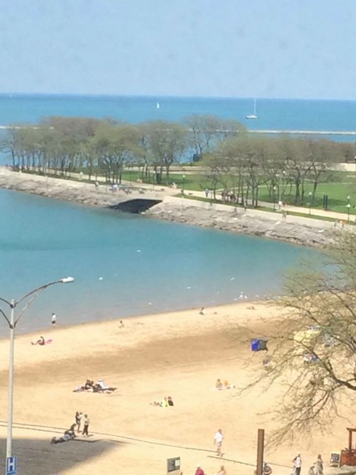 620-540 N Lake Shore Dr, Chicago, IL, 60611-7407 | Card Image