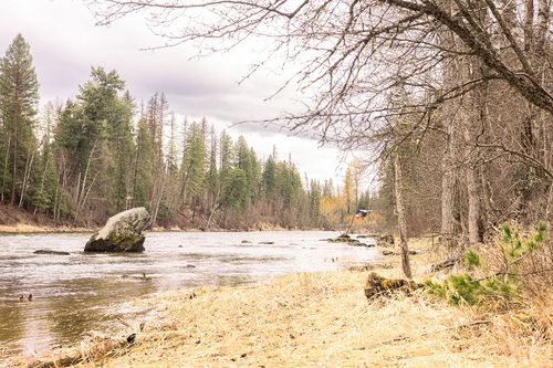 NHN Watchman Way, Bigfork, MT, 59911 | Card Image