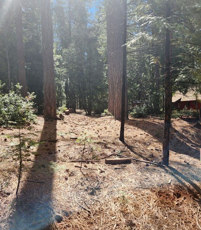 11254 Winding Way, Home with 0 bedrooms, 0 bathrooms and null parking in Clipper Mills CA | Image 17