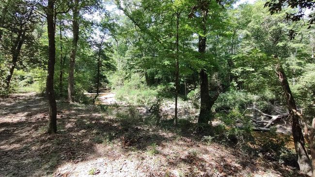 110 Rosenbaum Dr, House other with 2 bedrooms, 1 bathrooms and null parking in Poplarville MS | Image 35