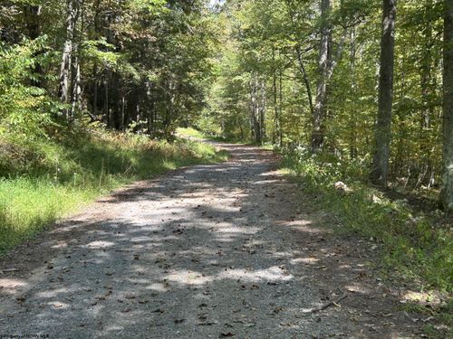 Lot 3 Possum Hollow Rd, Terra Alta, WV, 26764 | Card Image