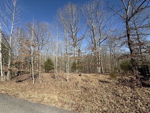 20 Backwoods Estates, Indian Mound, TN, 37079 | Card Image