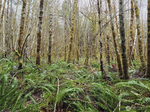 0 Lot 4 W Elk Hill Rd, Elma, WA, 98541 | Card Image