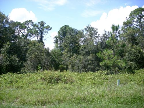 1343 Congo Ct, KISSIMMEE, FL, 34759-4604 | Card Image