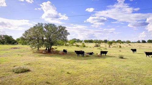 TBD 12119 W Hwy 29, Llano, TX, 78643 | Card Image