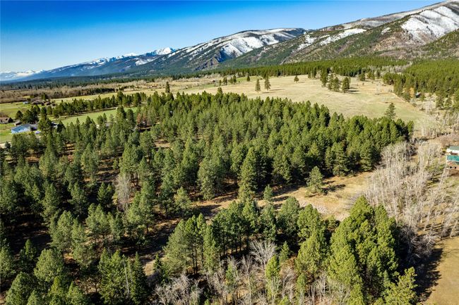 21650 Jones Rd, Home with 0 bedrooms, 0 bathrooms and null parking in Florence MT | Image 6