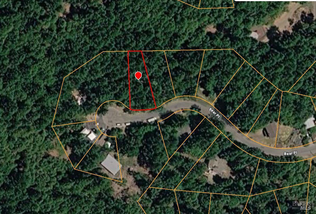 Land in Willits 5