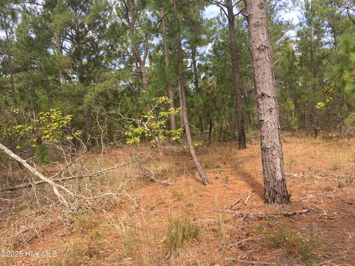 Tbd Plank Rd, Robbins, NC, 27325 | Card Image