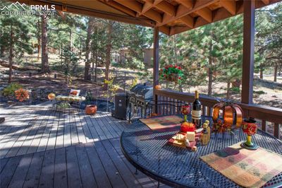 160 E Lovell Gulch Road, House other with 4 bedrooms, 2 bathrooms and 2 parking in Woodland Park CO | Image 2