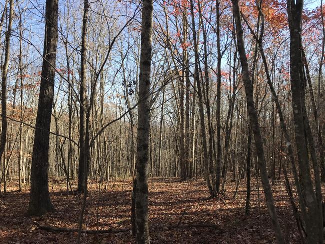 6 Hobbstown Rd, Home with 0 bedrooms, 0 bathrooms and null parking in Dunlap TN | Image 5