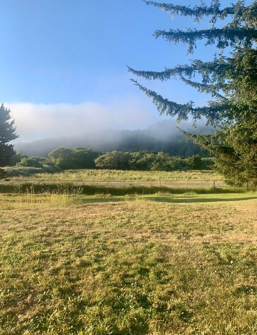 34944 Ophir Rd, Gold Beach, OR, 97444-8583 | Card Image