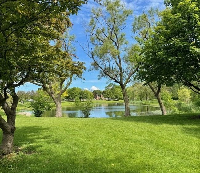 APT-3A - 825 Pearson St, Condo with 2 bedrooms, 2 bathrooms and 1 parking in Des Plaines IL | Image 7