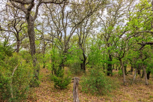 3276 Link Rd, Home with 0 bedrooms, 0 bathrooms and null parking in Doss TX | Image 24