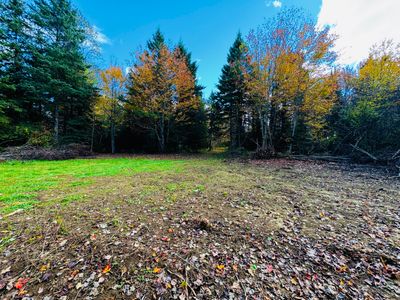 38.97 acres of beautiful land! | Image 1