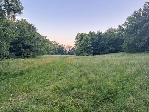Mottled Lane Mottled Lane, Marble Hill, MO, 63764 | Card Image