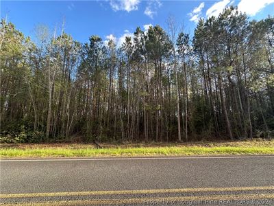 Lot 2 Hayes Road, Home with 0 bedrooms, 0 bathrooms and null parking in Spring Lake NC | Image 3