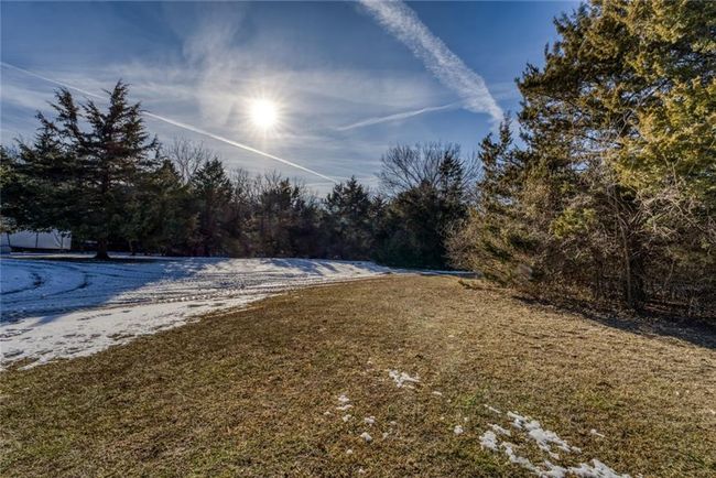 View of yard | Image 31