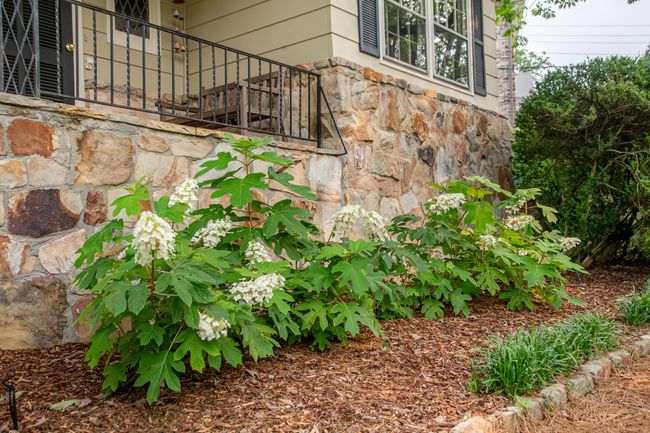 504 Fleetwood Dr, House other with 5 bedrooms, 3 bathrooms and null parking in Lookout Mountain TN | Image 13