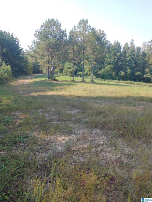 81-acres-008100 Sisson Farm Rd, Riverside, AL, 35135 | Card Image