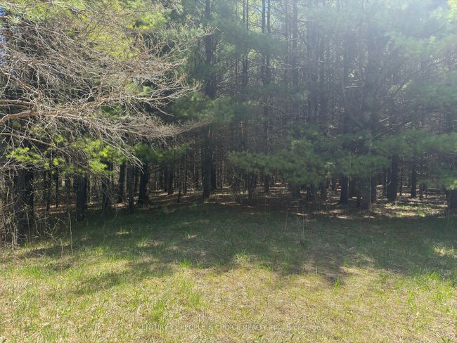 6081 Hwy 89, Clifford Road, Home with 0 bedrooms, 0 bathrooms and null parking in Minto ON | Image 8
