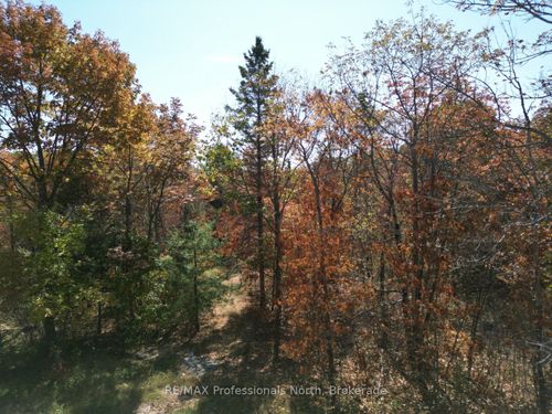 PT LT 35 CON 7 Glamor Lake Road, Highlands East, ON, K0M1R0 | Card Image