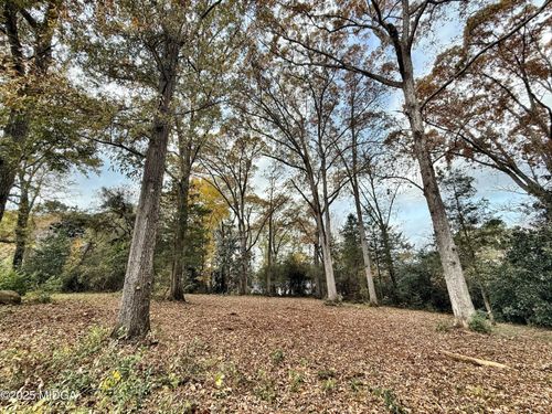 0 S S Lee St Street, Forsyth, GA, 31029 | Card Image