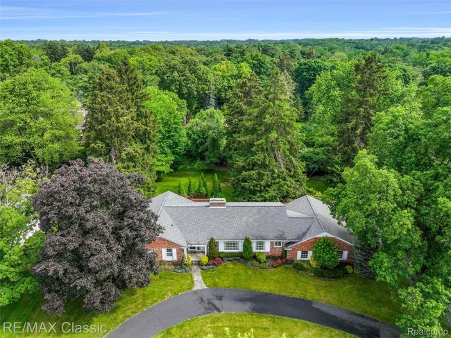 Surrounded by mature trees | Image 4