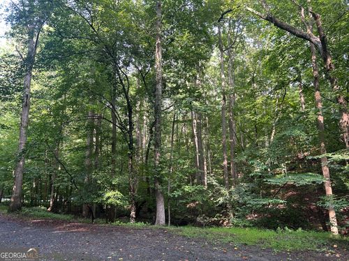 132-0 Shiloh Ct, ELLIJAY, GA, 30540 | Card Image
