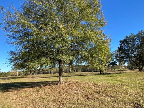 Lot #5 Carey Byrd Rd, Carriere, MS, 39426 | Card Image