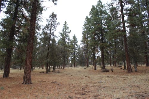 68-68 Merganser Rd, Klamath Falls, OR, 97601 | Card Image