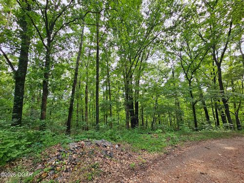 20 Ac Jesse James Road, Pineville, MO, 64856 | Card Image