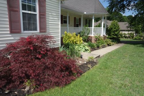 55 Bluebird Ln, Lafayette, TN, 37083-3254 | Card Image