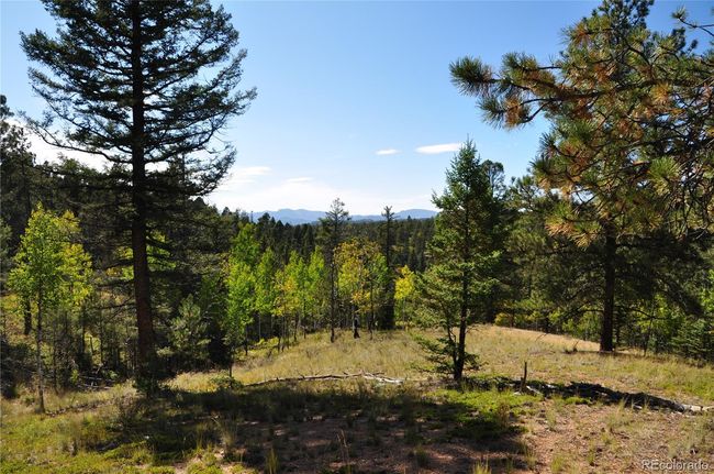 1299 Rangeview Rd, Home with 0 bedrooms, 0 bathrooms and null parking in Divide CO | Image 13