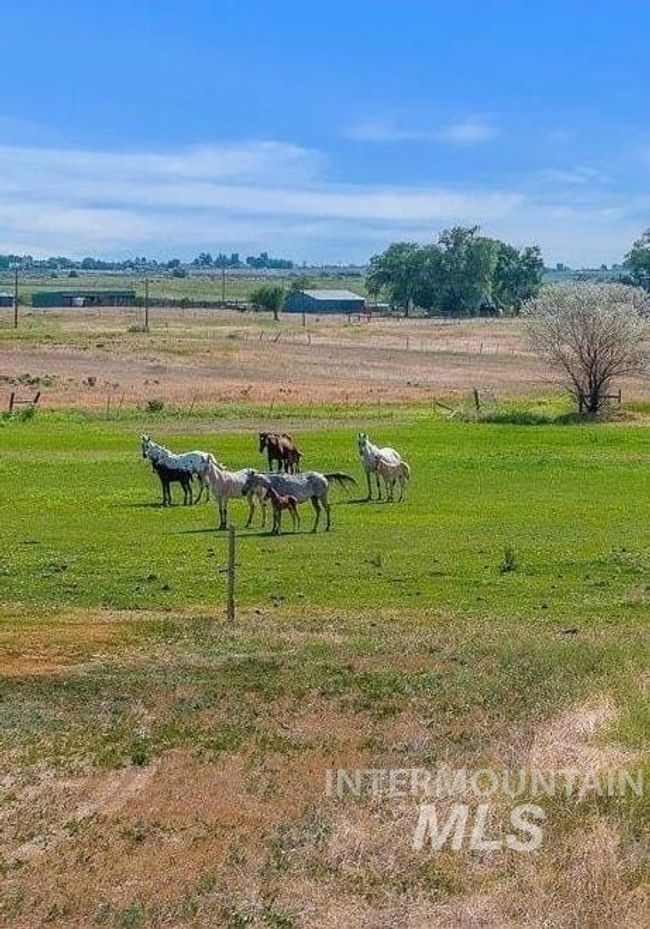 View of yard with a view of countryside | Image 26