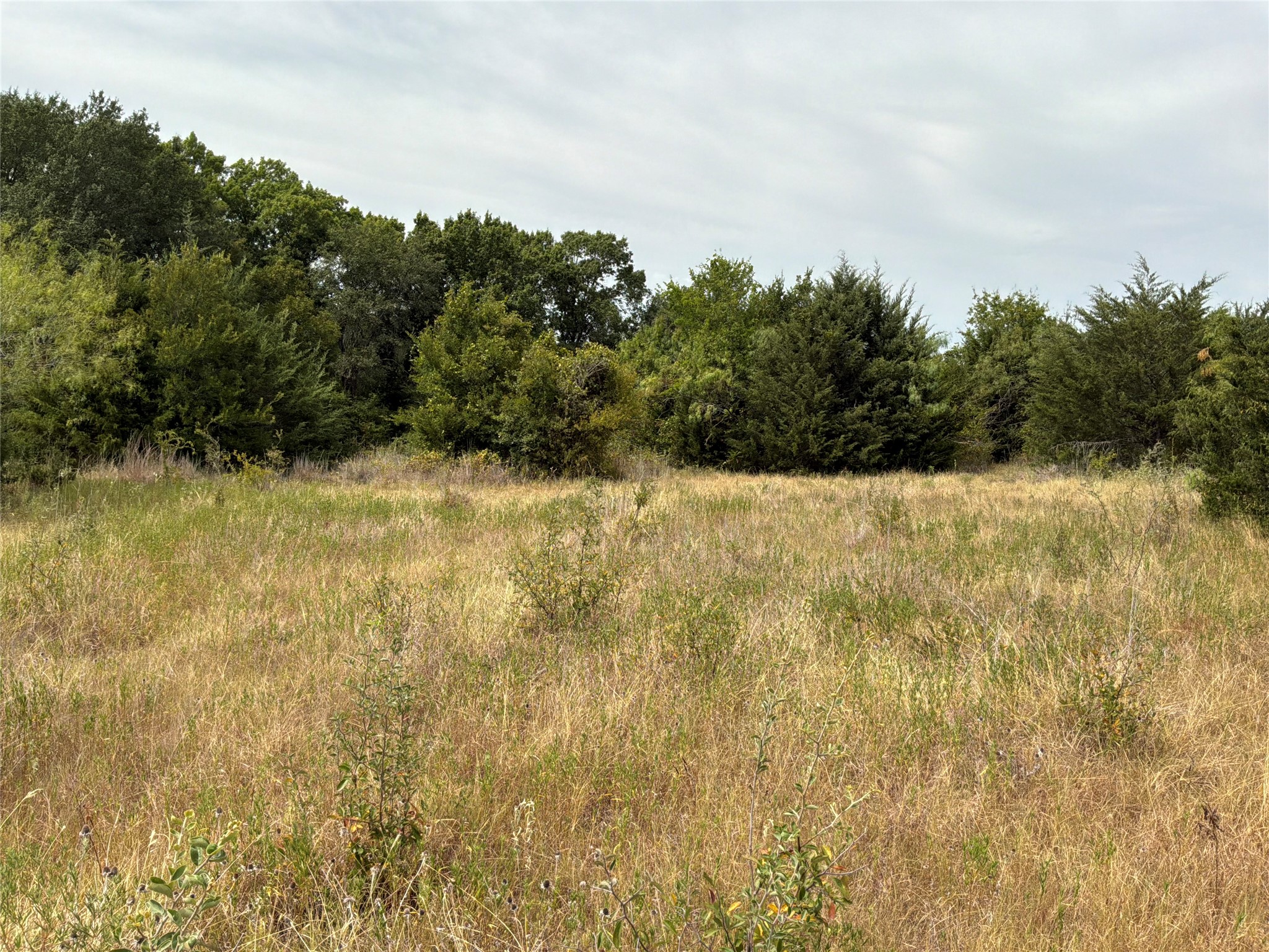 Land in Corsicana 4