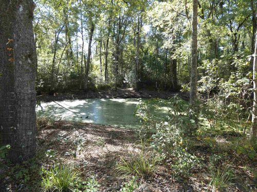 TBD Namon Spears Rd, CRAWFORDVILLE, FL, 32327 | Card Image