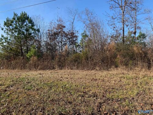 19.5 ACRES Mccrary Road, Hollywood, AL, 35752 | Card Image